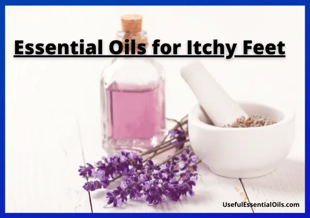 Essential Oils for Itchy Feet