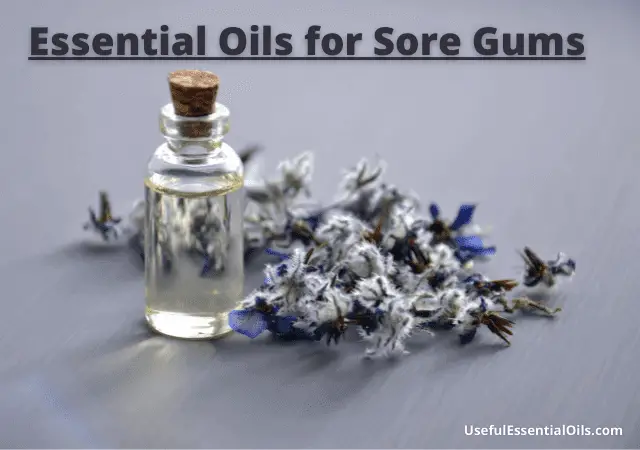 Essential Oils for Sore Gums