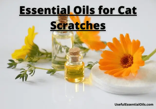 Essential Oils for Cat Scratches
