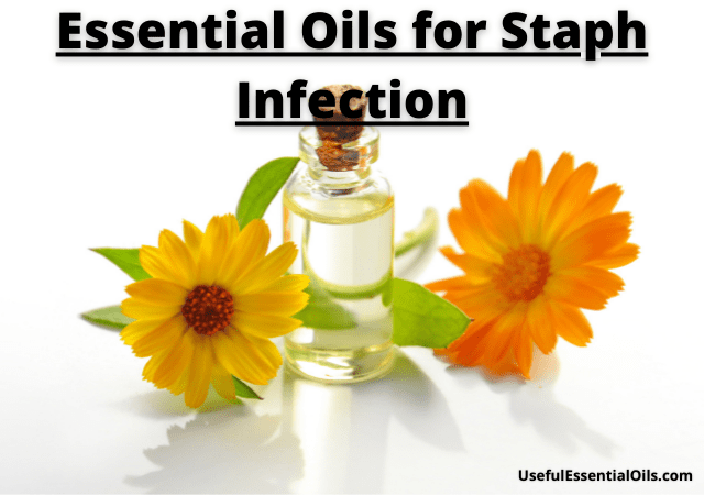 Essential Oils for Staph Infection