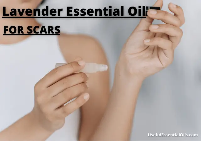 Lavender Oil for Scars