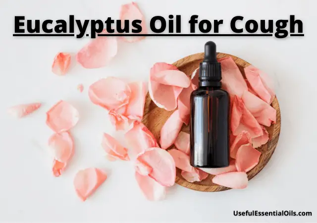 Eucalyptus Oil for Cough
