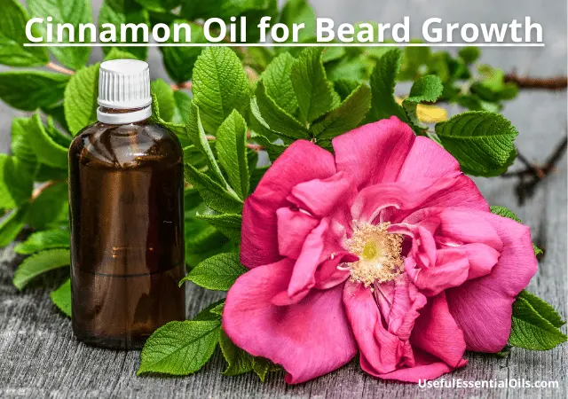 cinnamon oil for beard growth