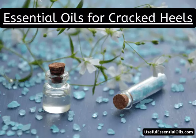 essential oils for cracked heels