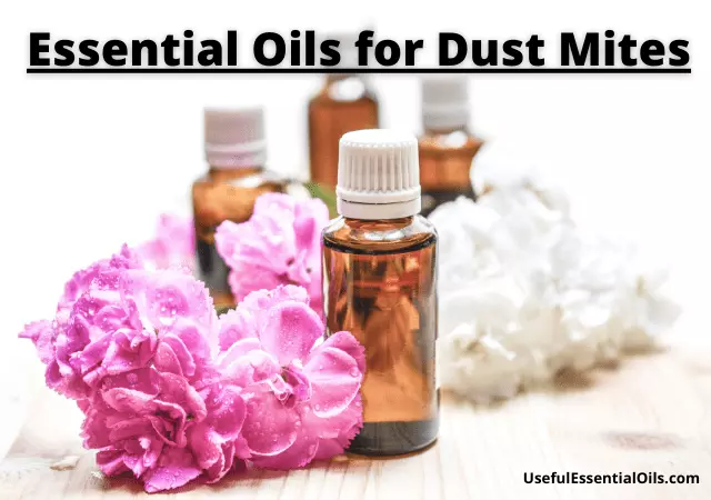 essential oils for dust mites