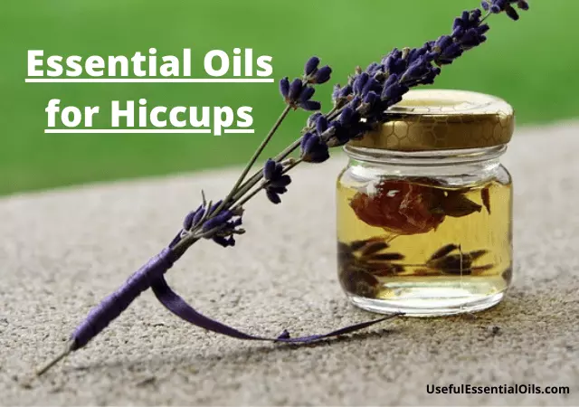 essential oils for hiccups