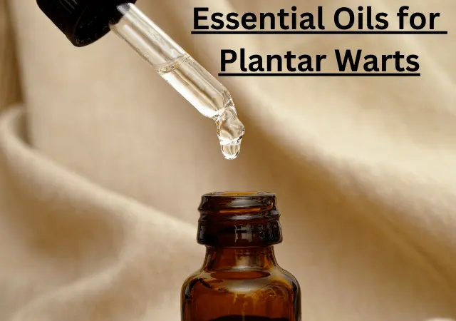 essential oils for plantar warts
