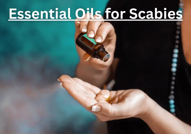 essential oils for scabies
