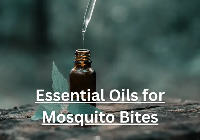 essential oils for mosquito bites