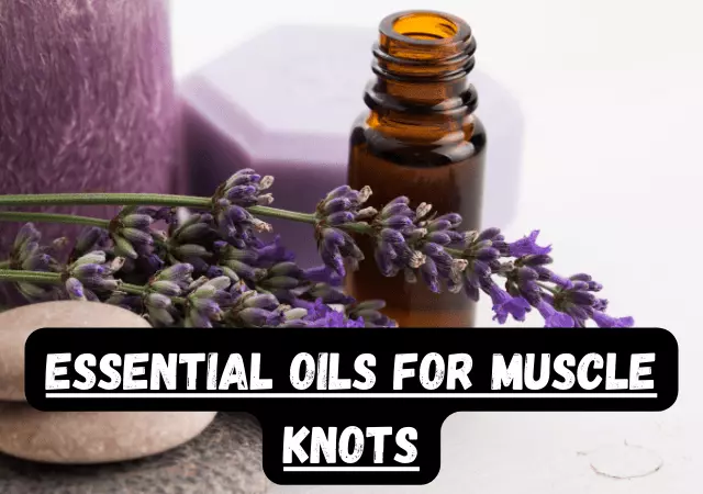 essential oils for muscle knots