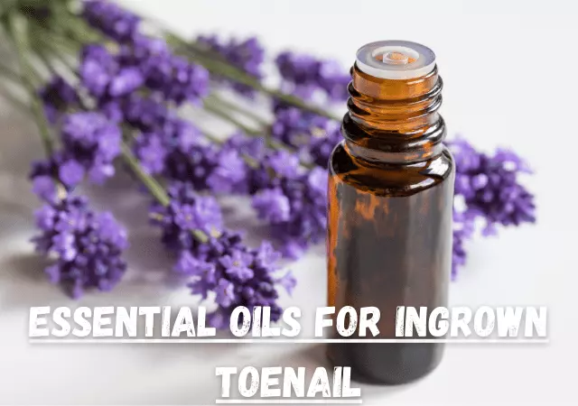 essential oils for ingrown toenail