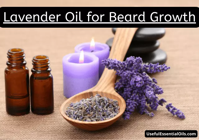 lavender oil for beard