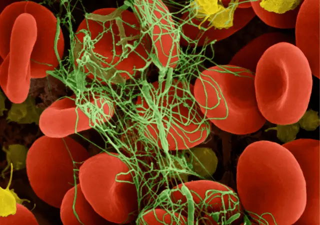 best essential oils for blood clots