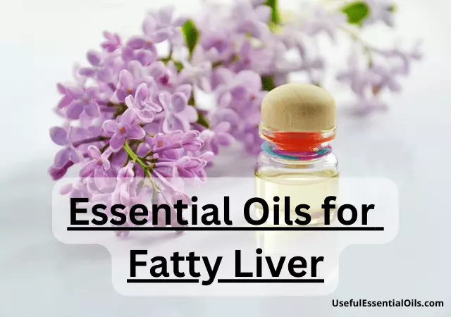 essential oils for fatty liver