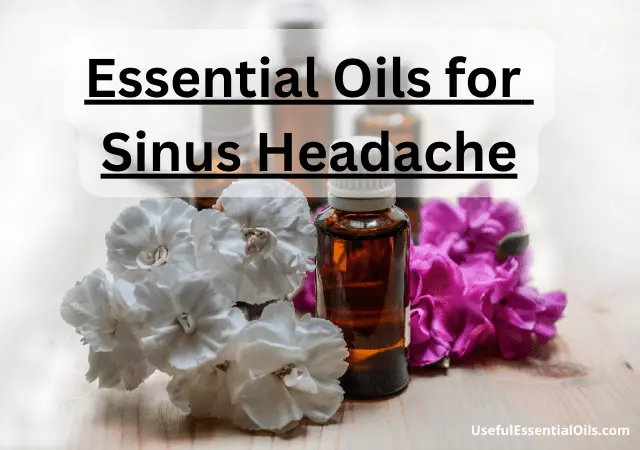 essential oils for sinus headache